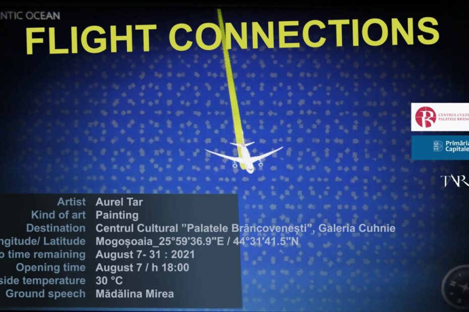 VIZUAL Flight Connections