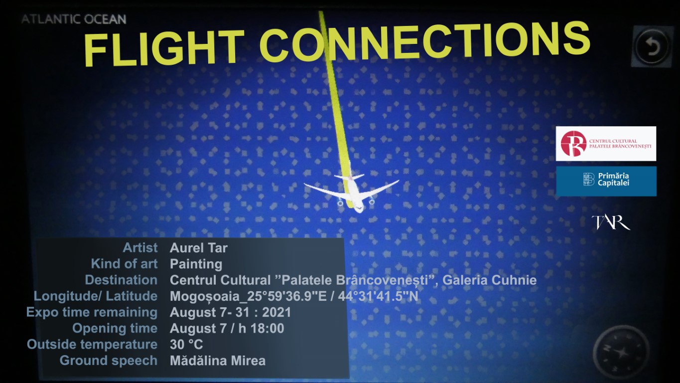 VIZUAL Flight Connections