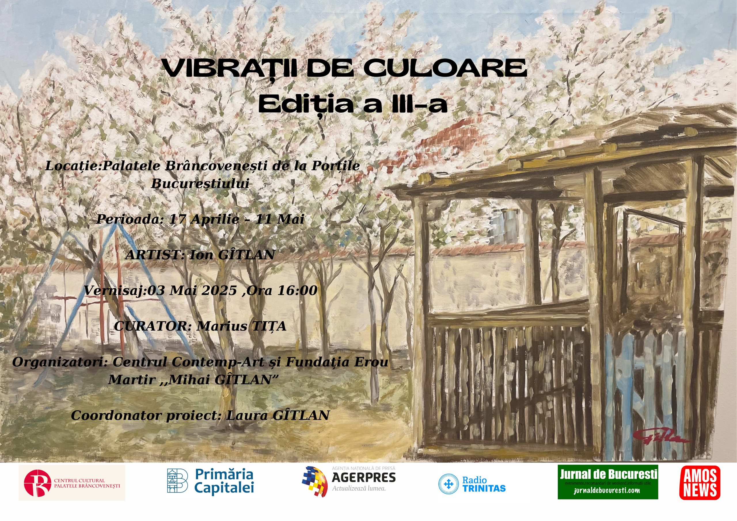 AFIS VIBRATII DE CULOARE