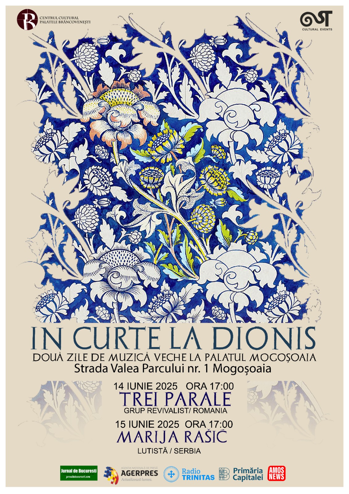 AFIS IN CURTE LA DIONIS 14 SI 15 IUNIE 2025