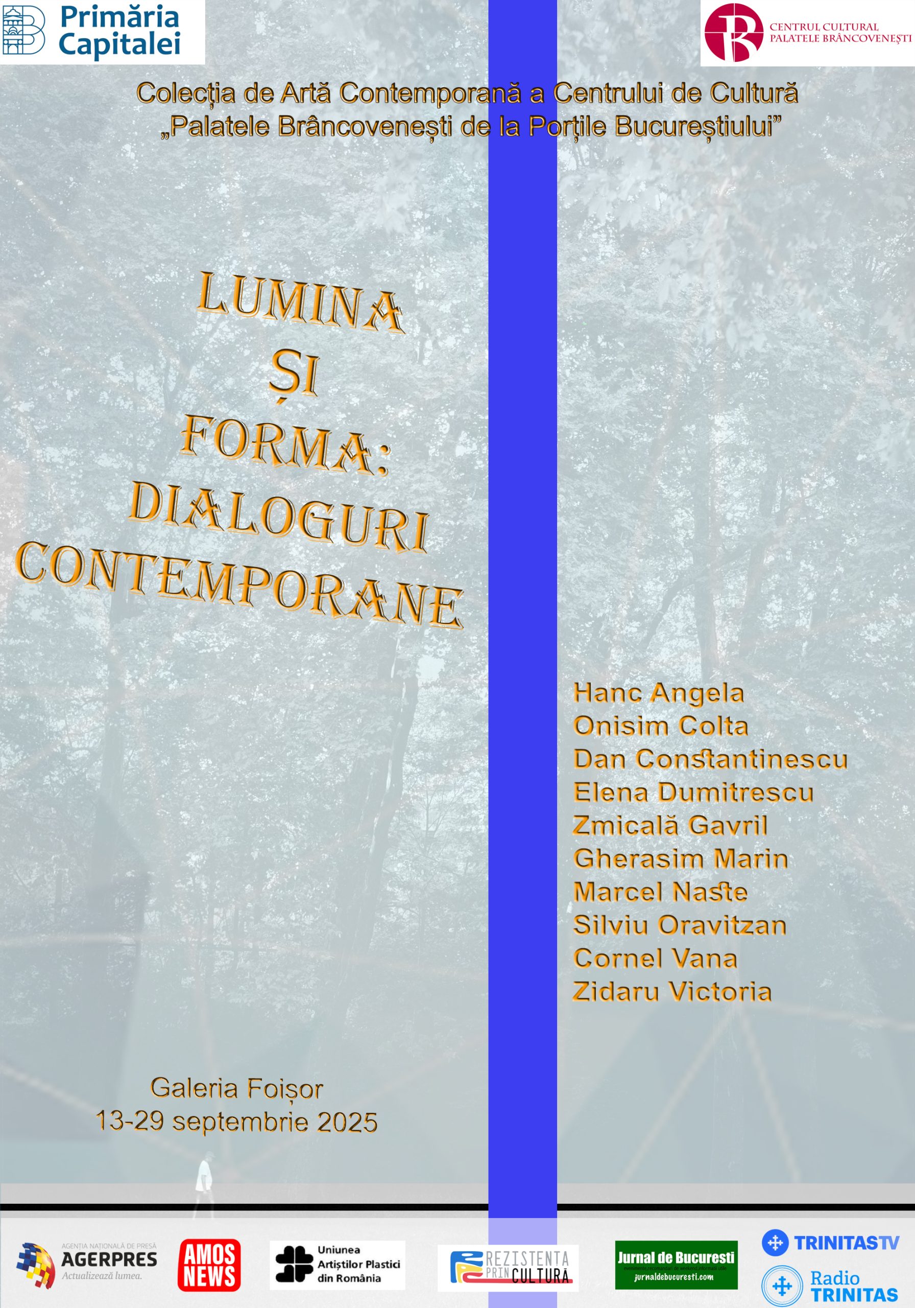 AFIS LUMINA ȘI FORMA