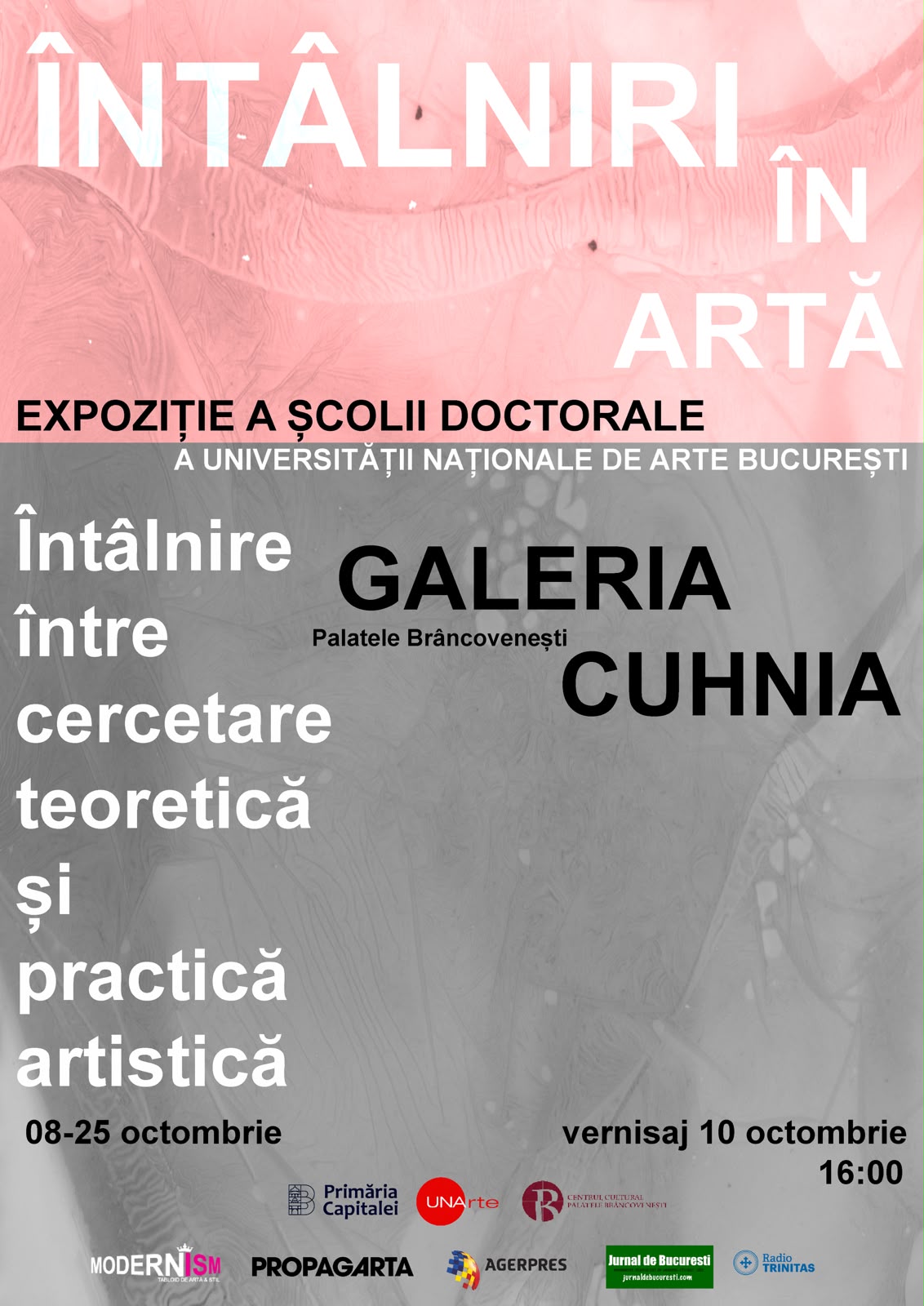 2.Afiș ÎNTÂLNIRI ÎN ARTĂ